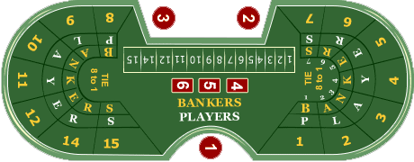 Baccarat Table Layout