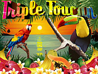Triple Toucan Real-Series Video Slot