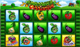 Farmer’s Market Slot