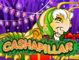 Cashapillar